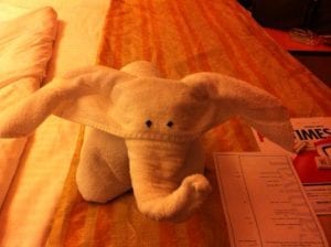 Carnival towel animal at bed time 