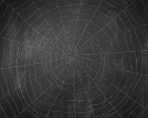 nomb_chalkboard_spiderweb_background copy