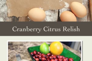cranberry citrus relish