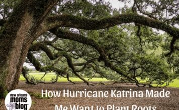 Katrina Made Me Want to Plant Roots