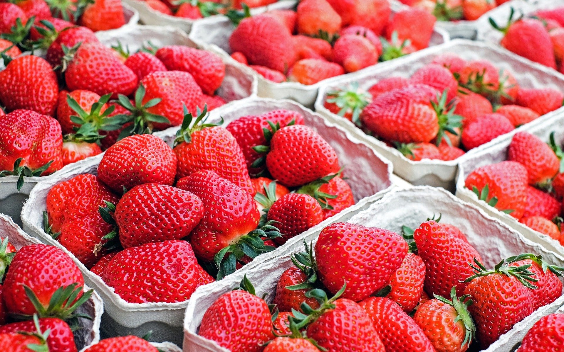 It's Berry Pickin' Time {Where to Pick Strawberries and 