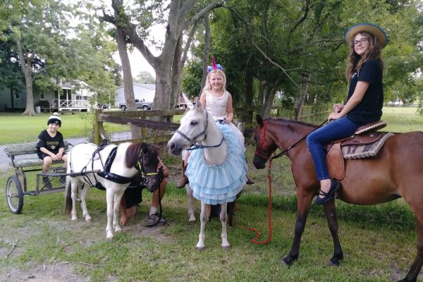 New Orleans Pony Rides - Best Place to Book Pony Rides for a Party