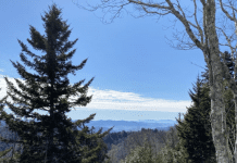 The Ultimate Guide to Gatlinburg Planning
