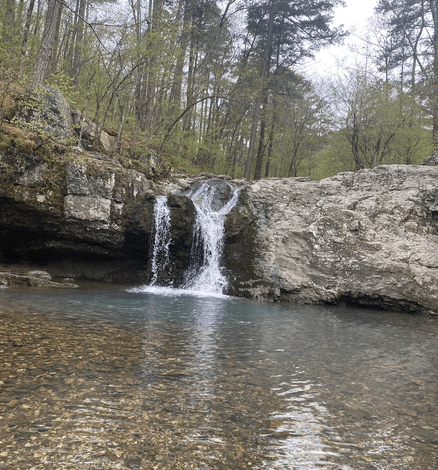 Falls Branch Trail