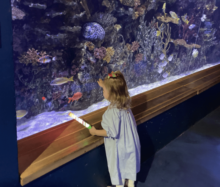 Take your kids to the Shreveport Aquarium