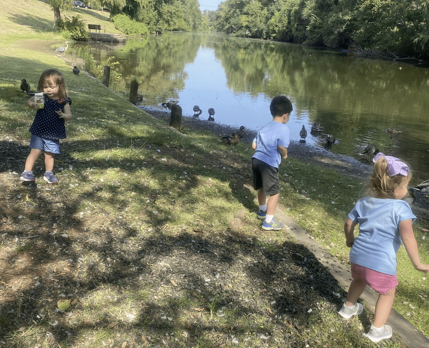 Feeding the ducks at AC Steere Park in Shreveport