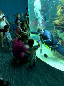 family visit to the Mississippi Aquarium