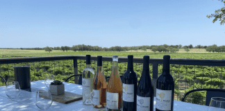 Fredericksburg Texas wine tasting