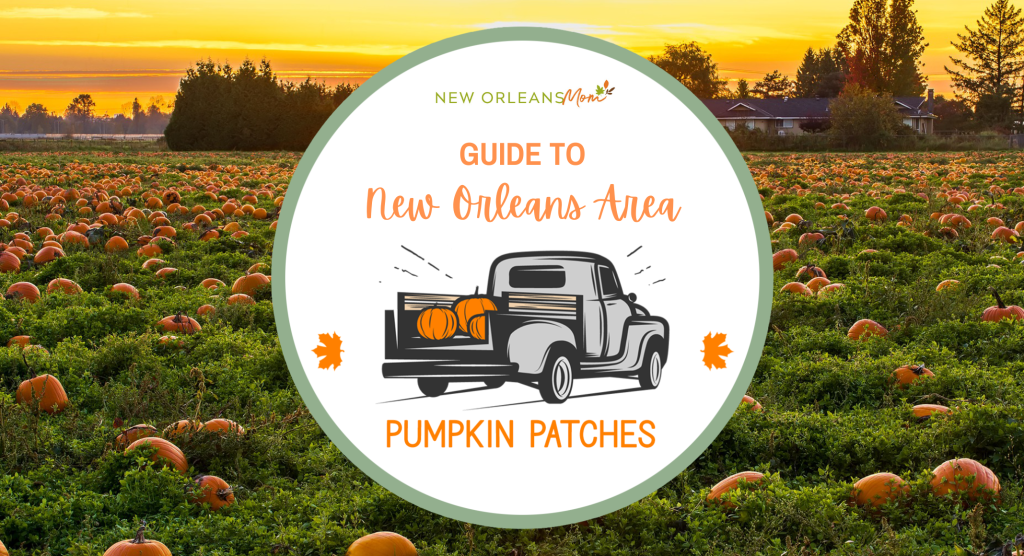 Guide to New Orleans Area Pumpkin Patches