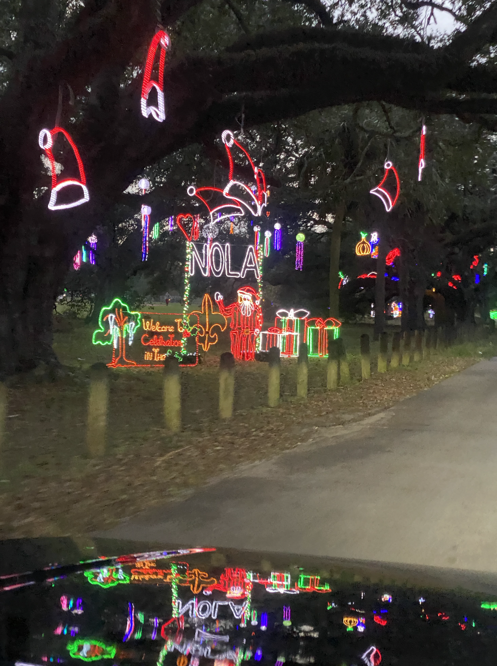 holiday lights in New Orleans