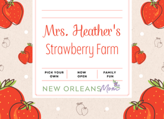 strawberry picking in New Orleans