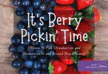 It’s Berry Pickin’ Time {Where to Pick Strawberries and Blueberries In and Around New Orleans}