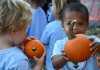 Guide to New Orleans Area Pumpkin Patches & Fall Fests
