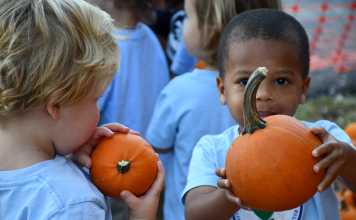 Guide to New Orleans Area Pumpkin Patches & Fall Fests