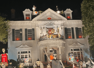 Our Favorite NOLA Halloween Tradition