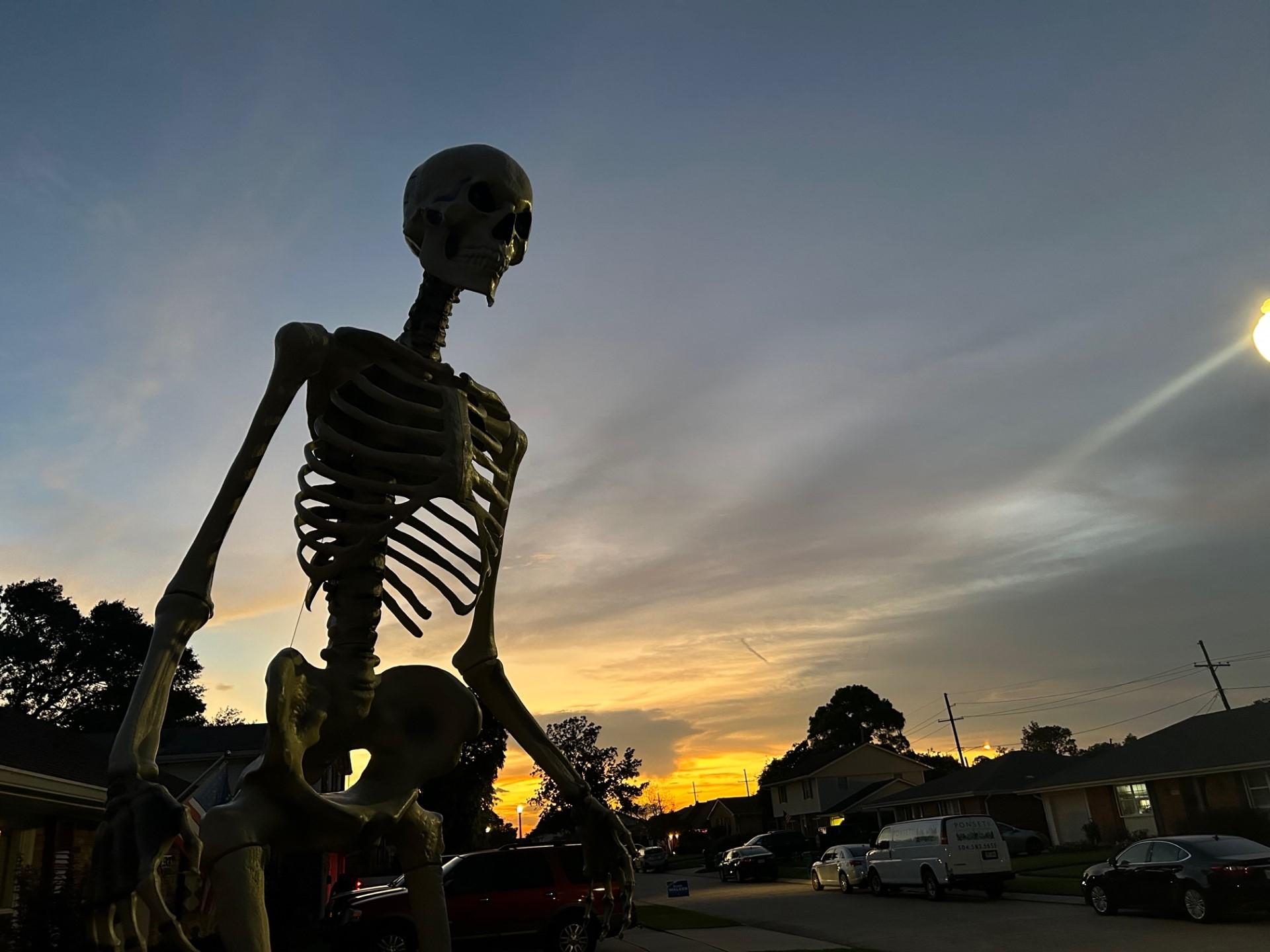 12 Reasons Why You Need a 12 Foot Skeleton