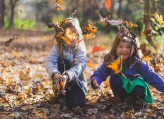 How The Kids Can Help With Outside Home Maintenance This Fall