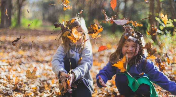 How The Kids Can Help With Outside Home Maintenance This Fall