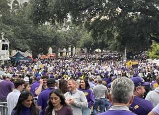 A sea of purple and gold at the LSU Football Game