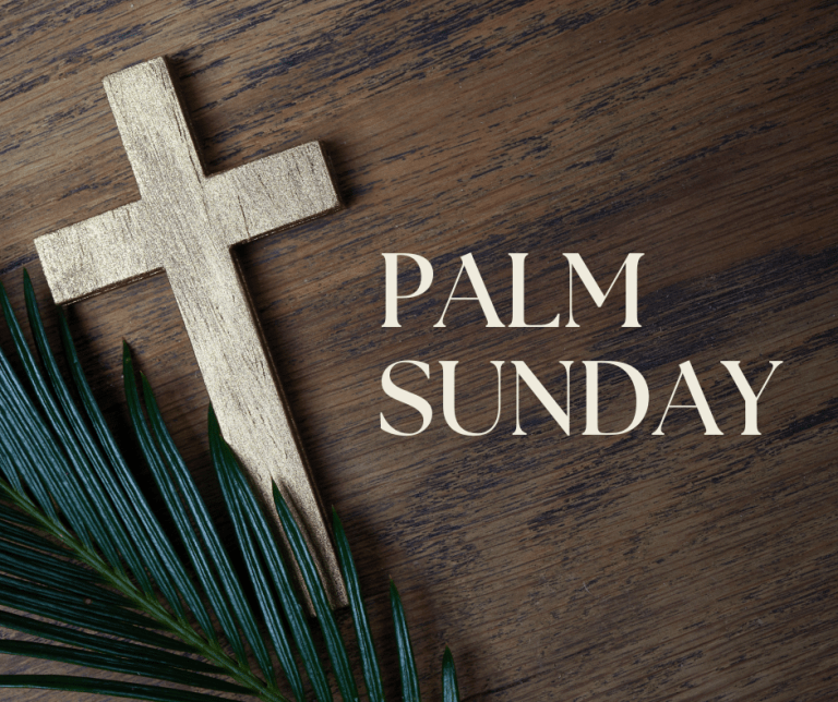 Purpose In The Suffering :: Why Palm Sunday Is This Catholic’s Favorite Mass