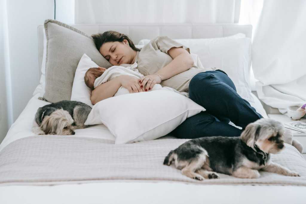 Woman taking a nap with her baby and dog