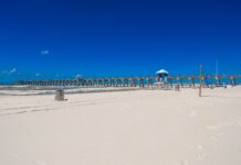 Worth the Drive :: Gulf State Park